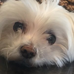 Meet your Posher, Beverly